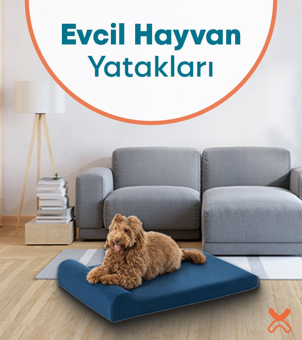 Evcil Hayvan Yatakları